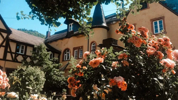Weingut Freiherr von Landenberg 2