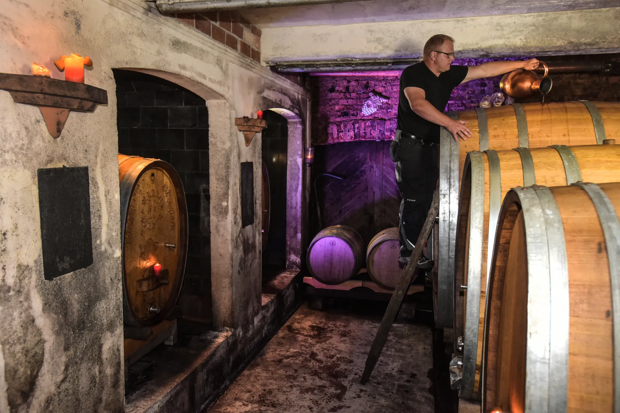 Bioweingut Maier 2