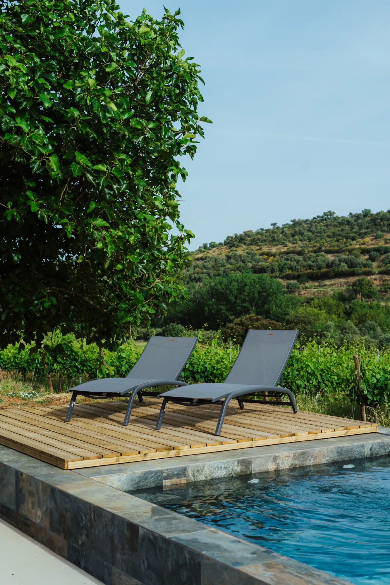 Quinta da Plansel Alentejo 3