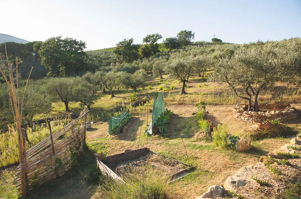Agriturismo I Pini 3