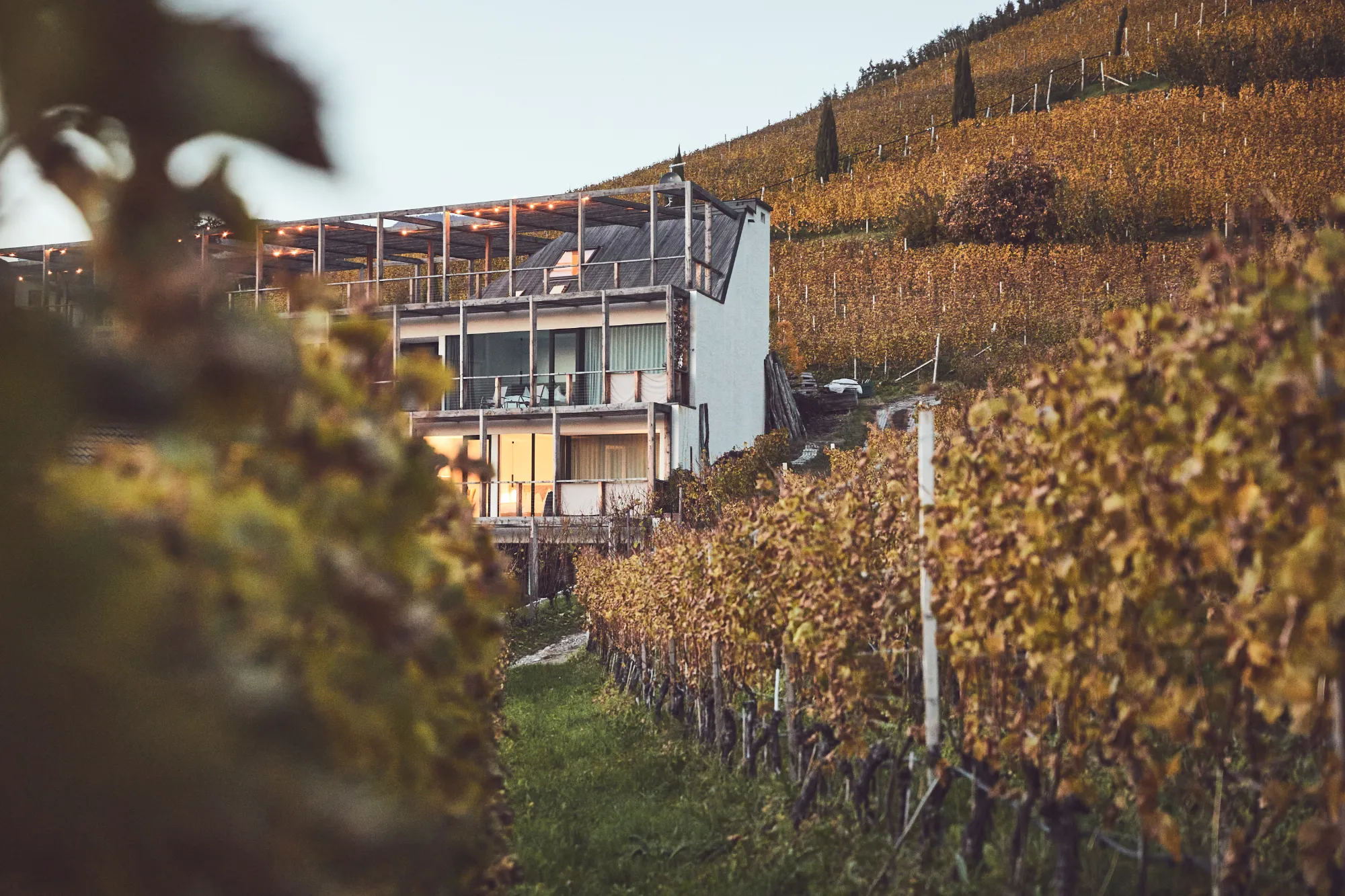 Haller Suites & Restaurant 3