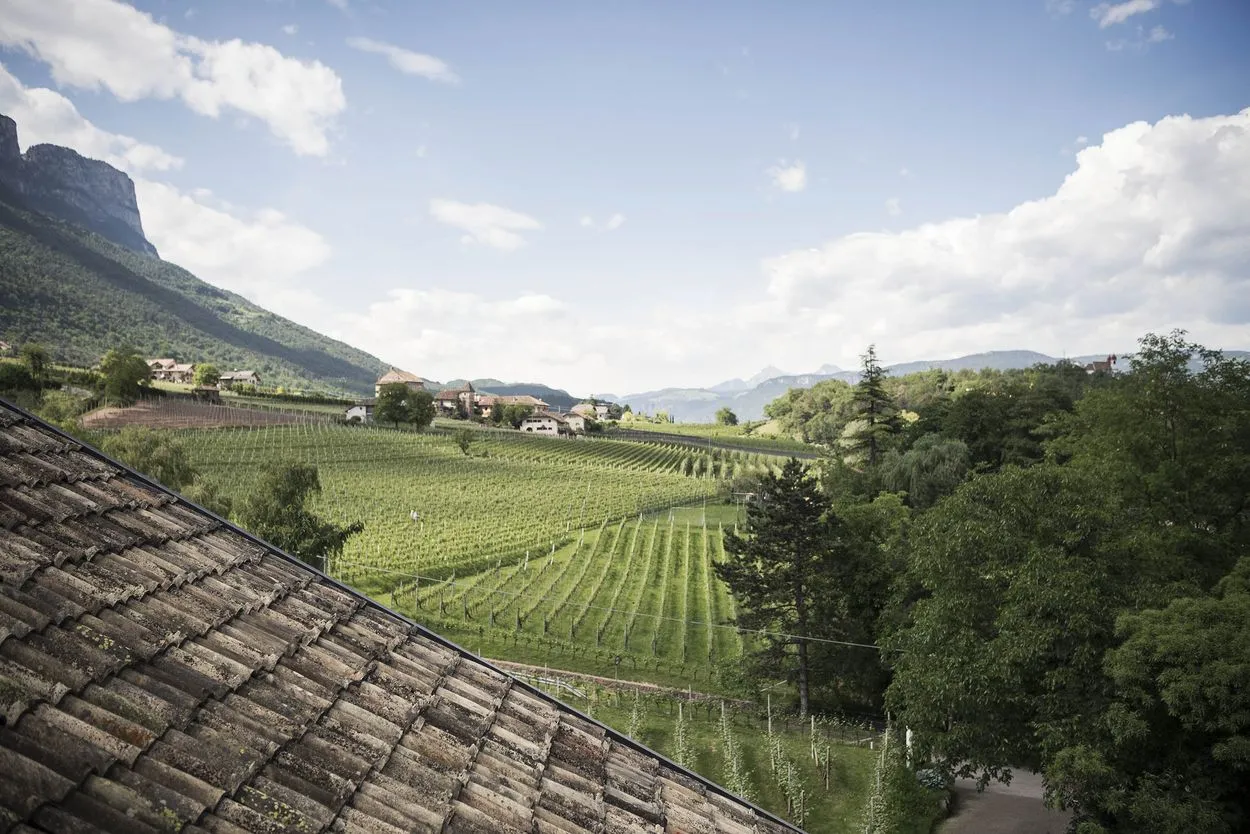 Hotel Weingut Stroblhof 2