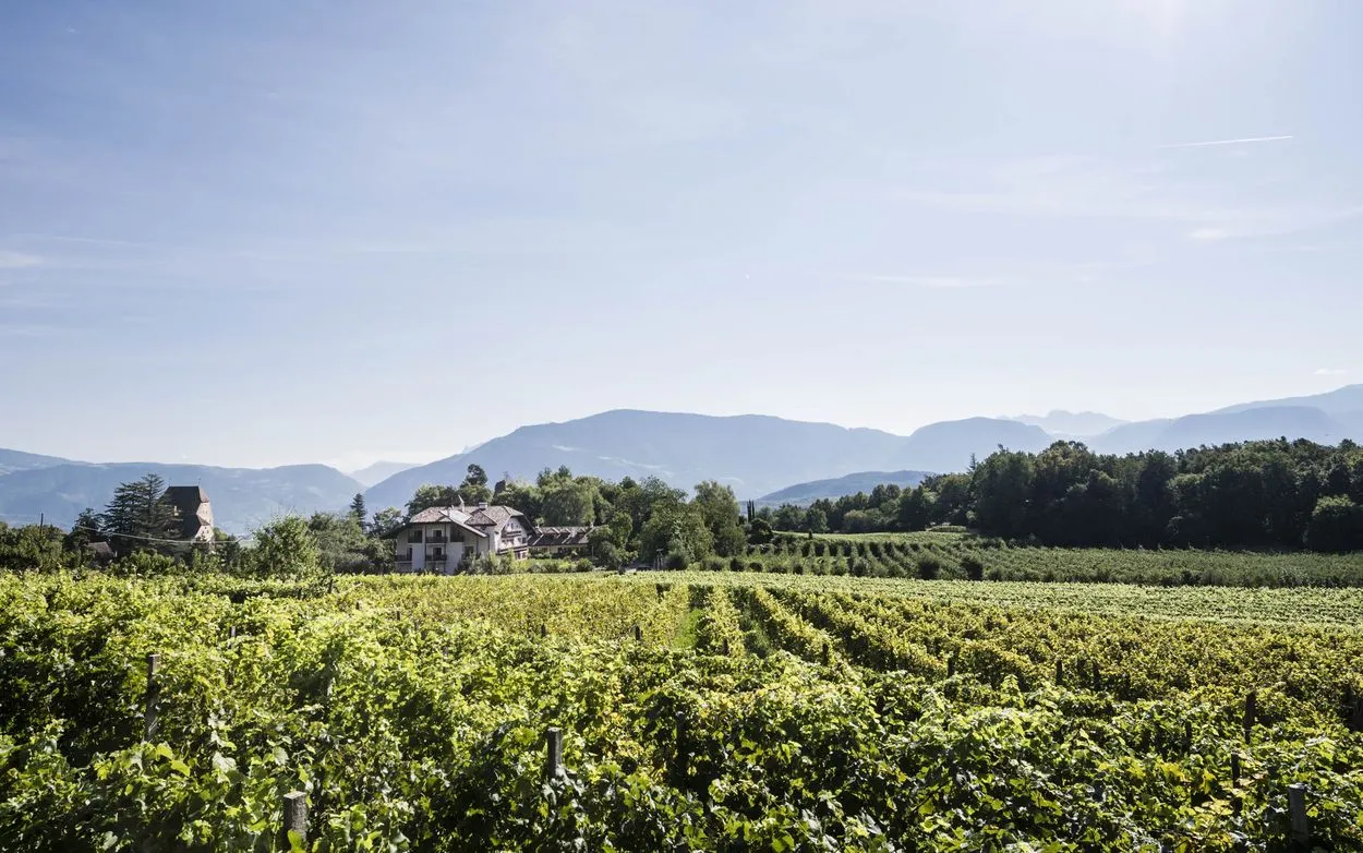 Hotel Weingut Stroblhof 3