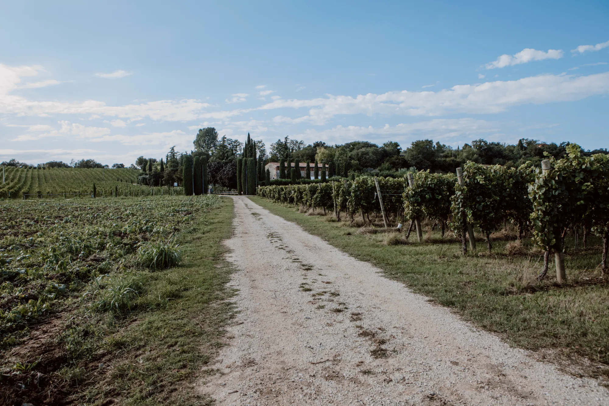 Agriturismo Antica Dimora Del Turco 3