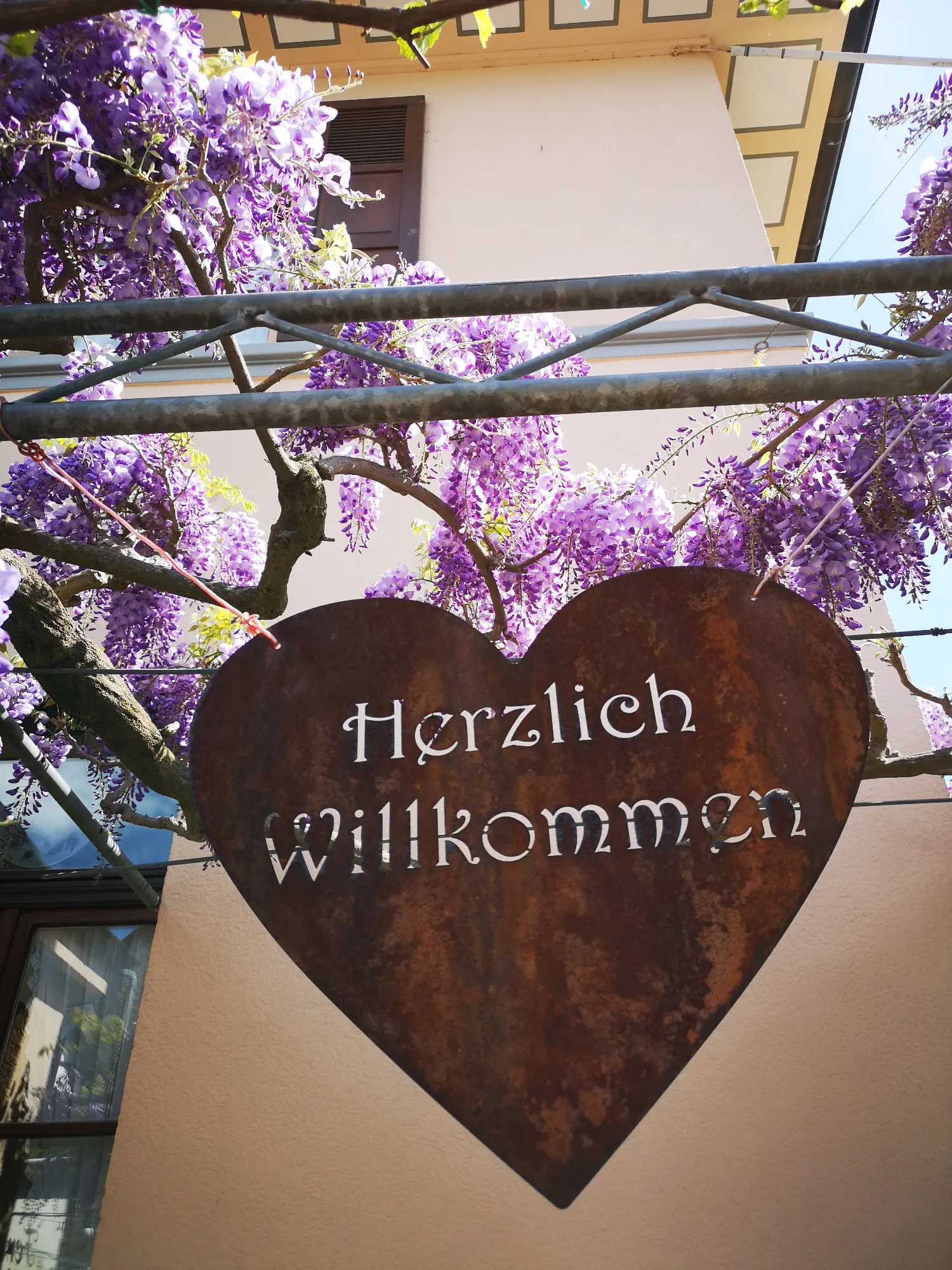 Ferienweingut Villa Hausmann 2