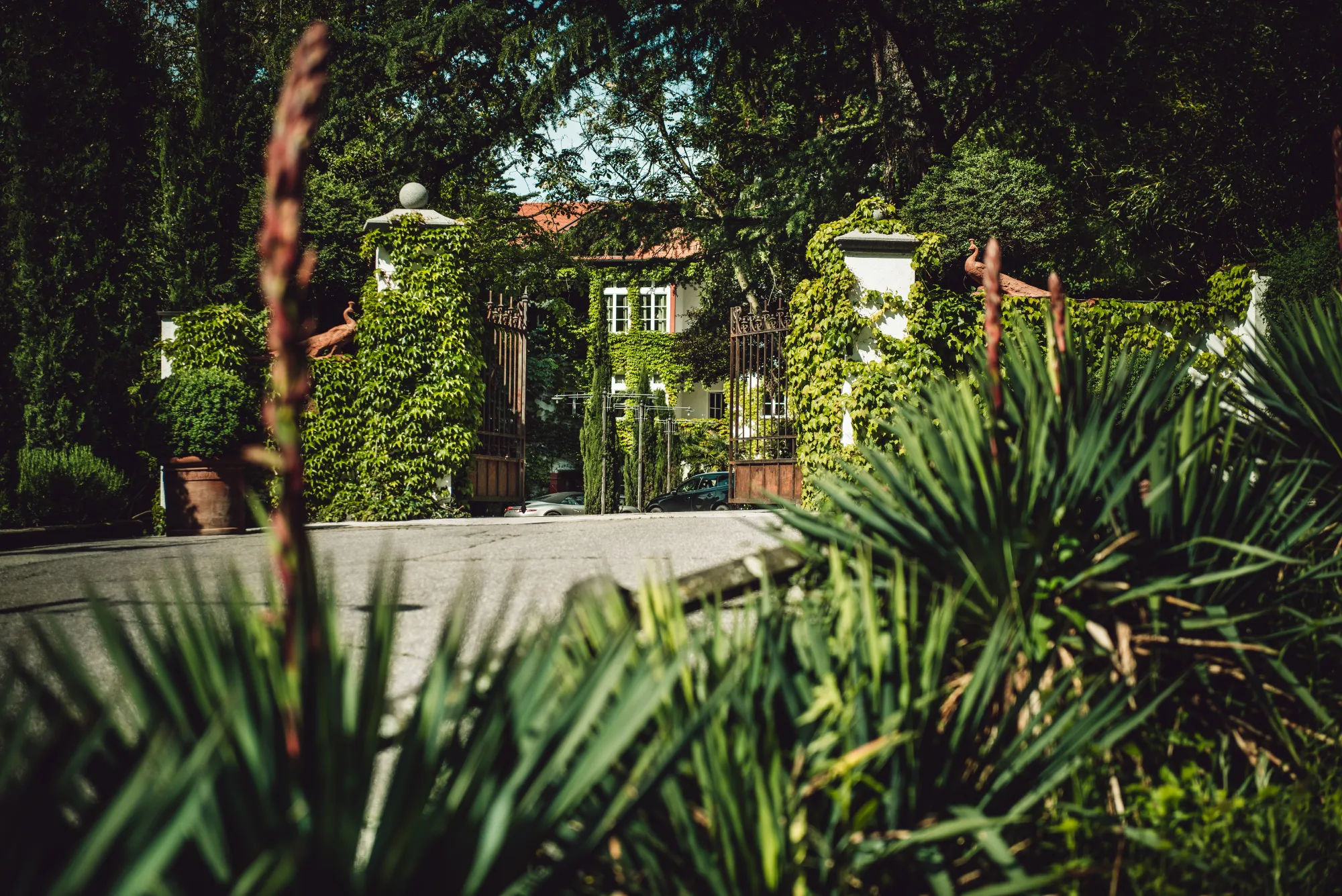 Relais & Chateaux Hotel Castel Fragsburg 3