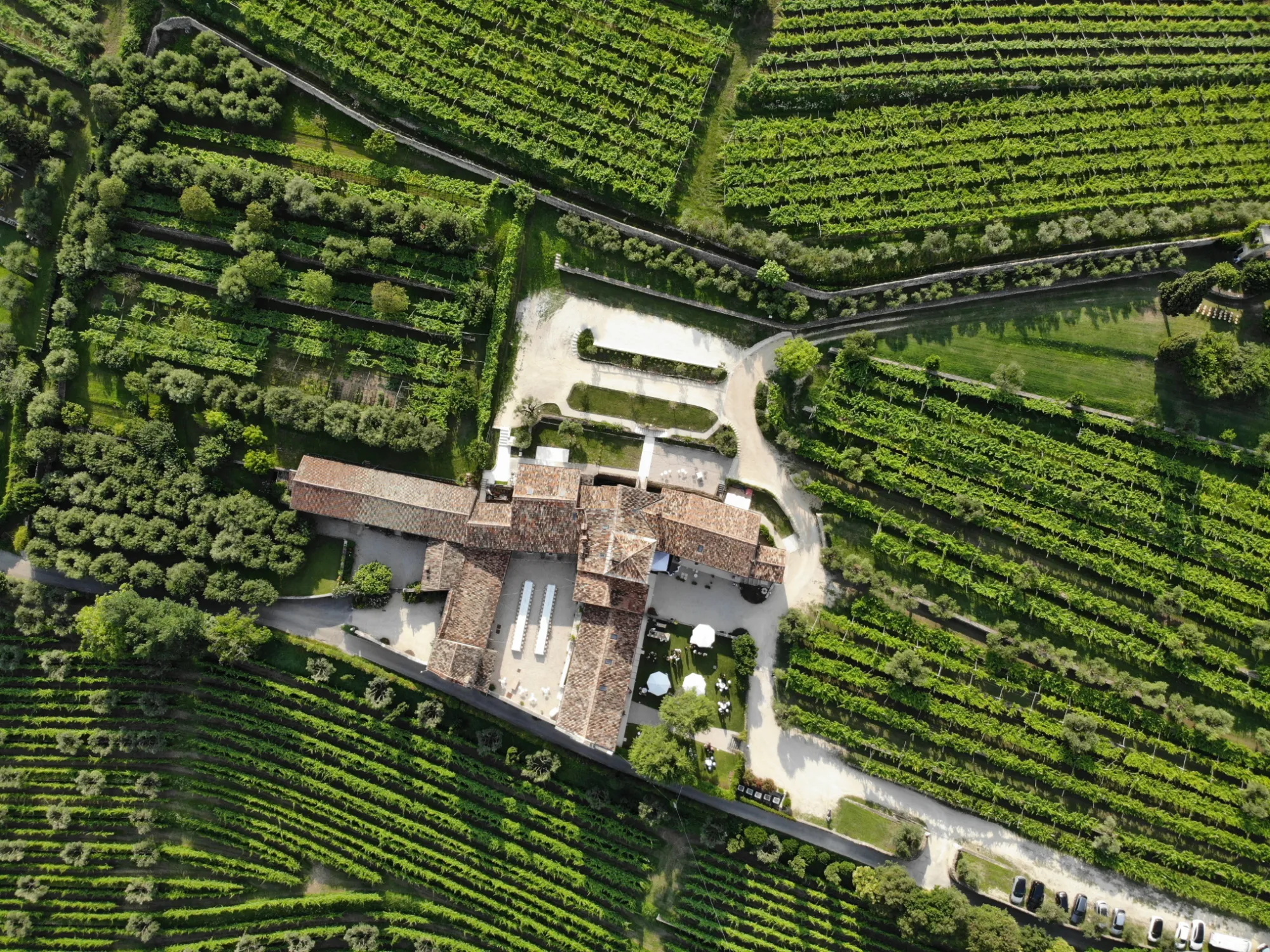 Palazzo Montanari Art & Wine Relais 3